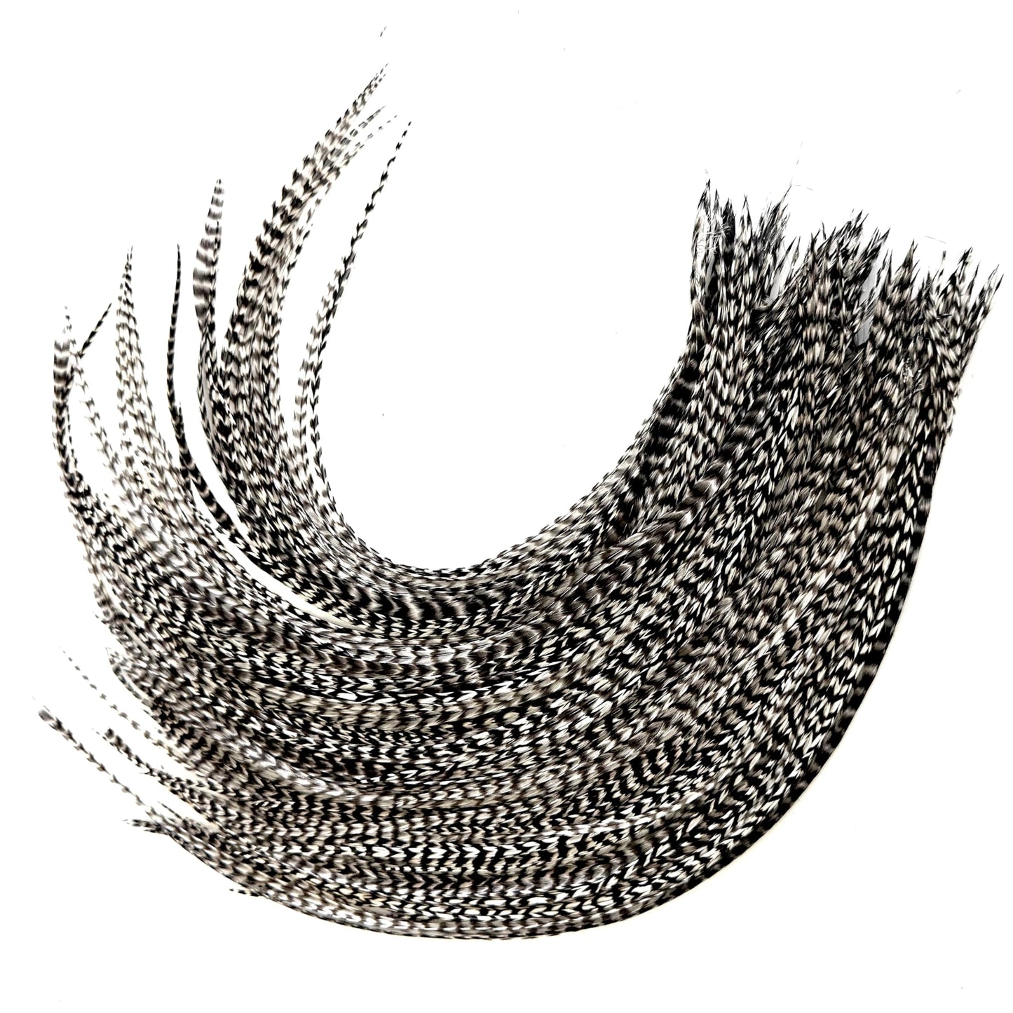50 Grizzly Color Hair Feathers - 9”- 14” Long - Feathers for Hair Extension, Hair Extension DIY Kit - Eye-Catching Design - 50 Micro-link Beads - 100% Real Rooster Feathers