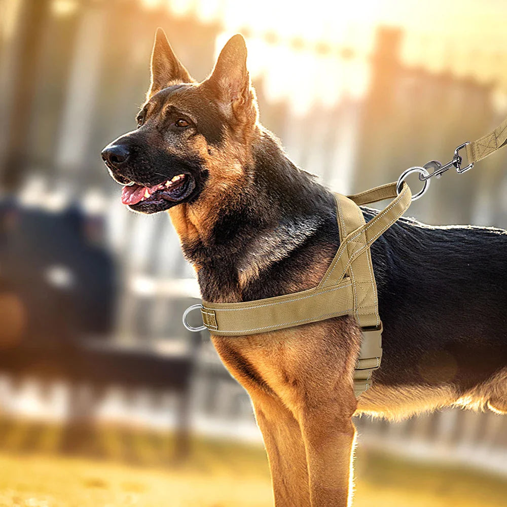 Soft Padded No-Pull Harness