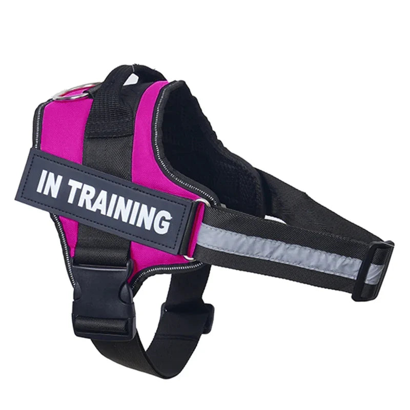Personalized Reflective No-Pull Harness Ask ChatGPT