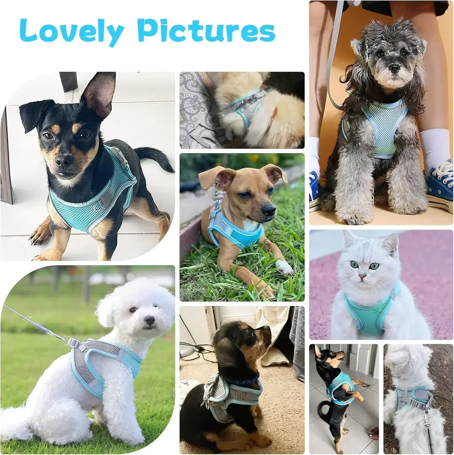 Adjustable Puppy Cat Harness Set