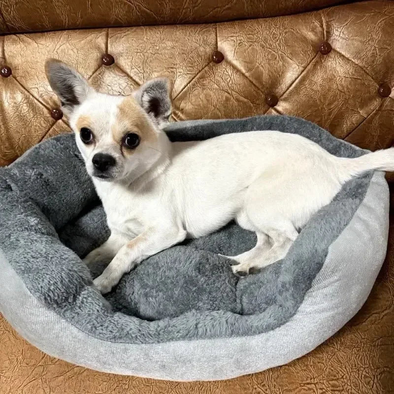 Soft Warm Dog Sofa Bed