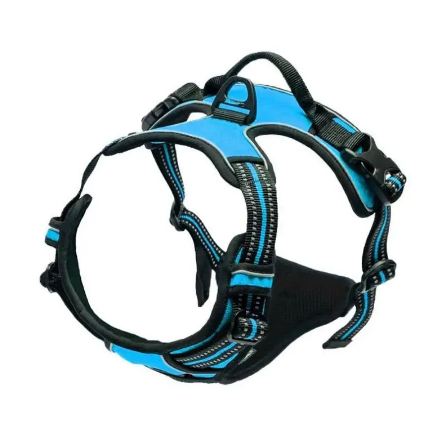 Leather Dog Harness Collar Set