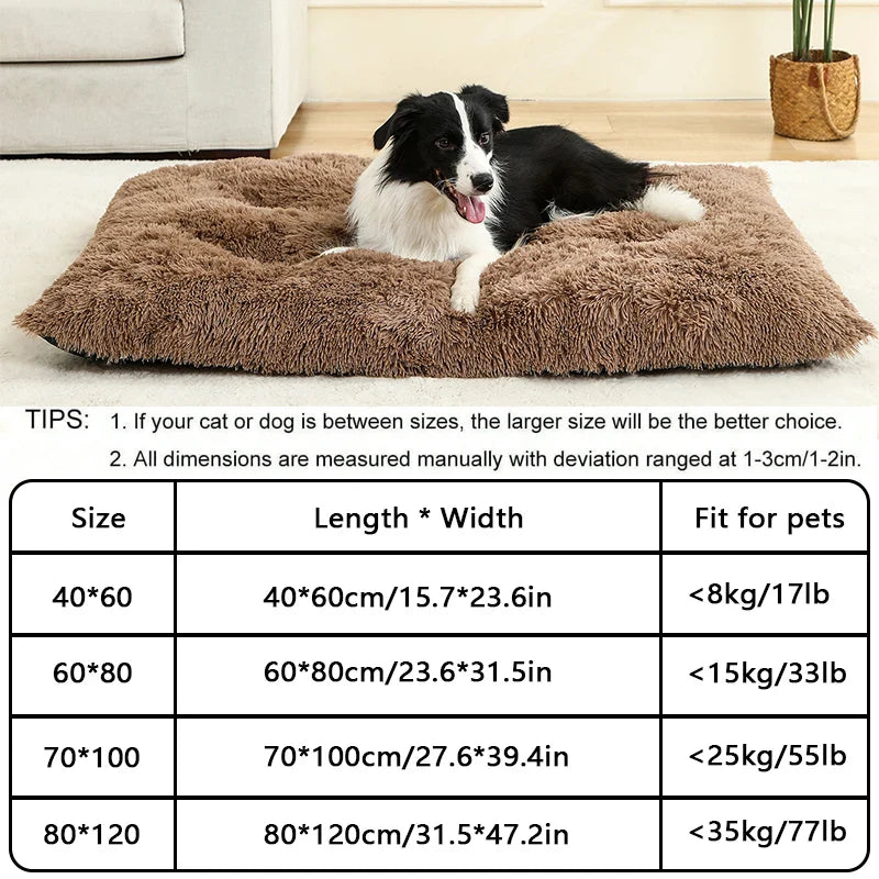 Soft Plush Dog Bed House