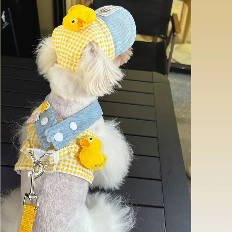 Puppy Pet Harness Leash Set