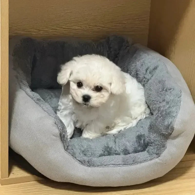 Soft Warm Dog Sofa Bed