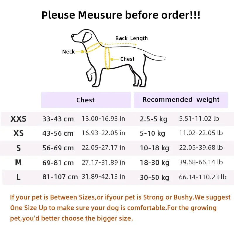 Summer Vest Dog Harness
