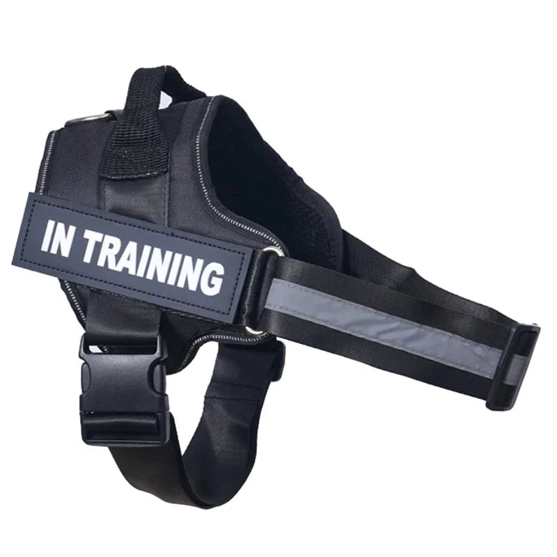 Personalized Reflective No-Pull Harness Ask ChatGPT