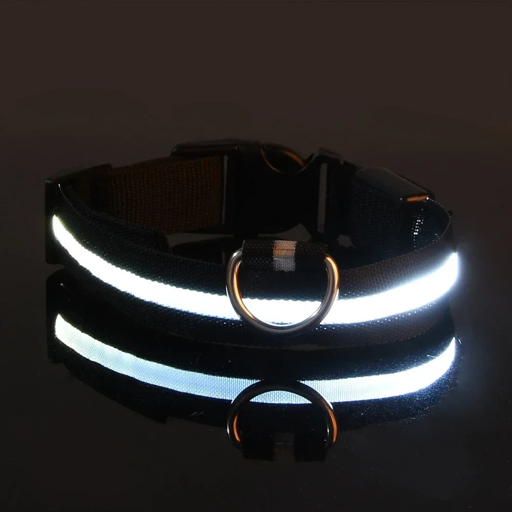 LED Glow Nylon Dog Leash
