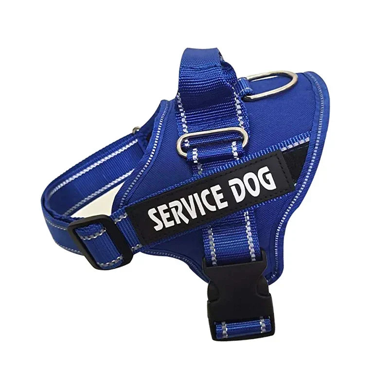 Personalized Reflective No-Pull Harness Ask ChatGPT