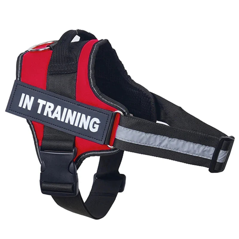 Personalized Reflective No-Pull Harness Ask ChatGPT