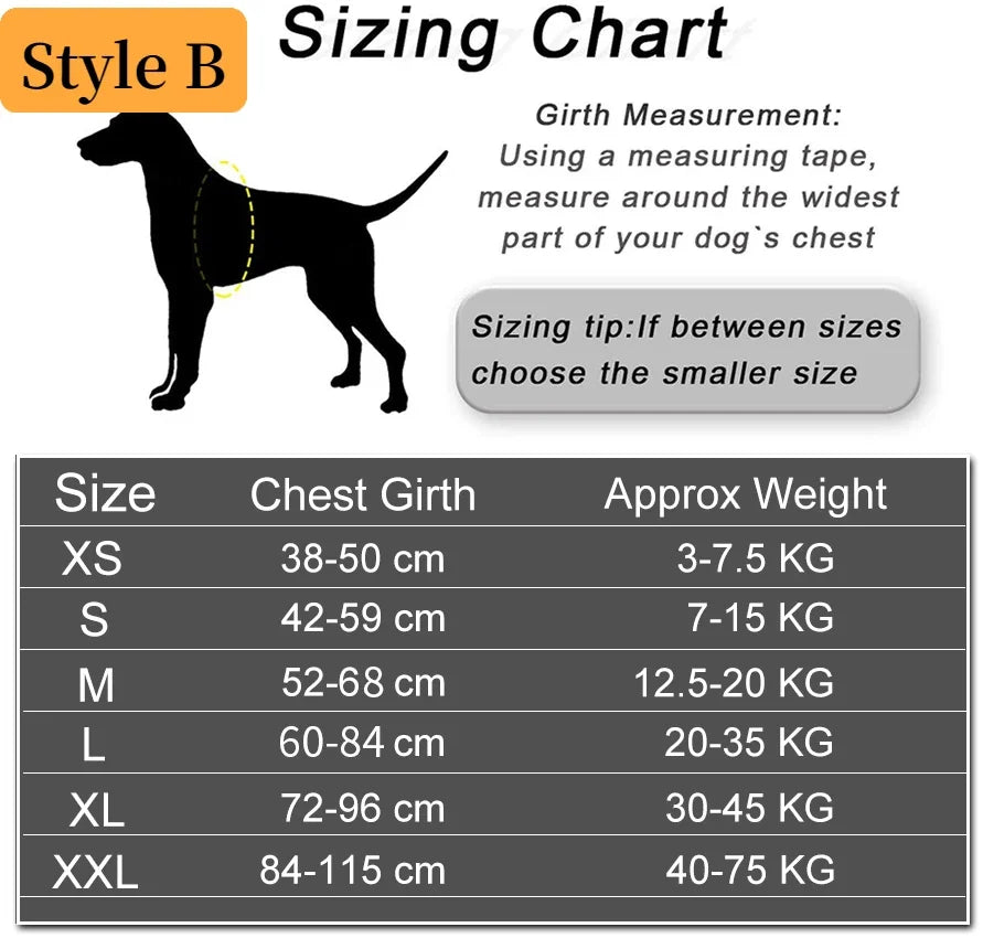 Personalized Reflective No-Pull Harness Ask ChatGPT