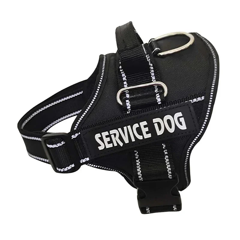 Personalized Reflective No-Pull Harness Ask ChatGPT