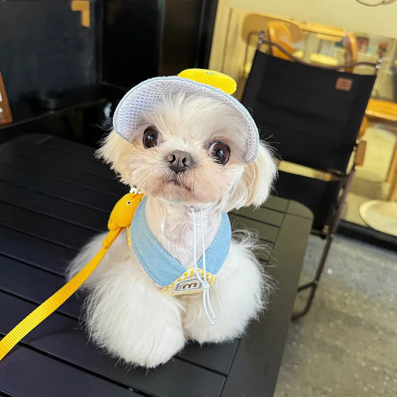 Puppy Pet Harness Leash Set