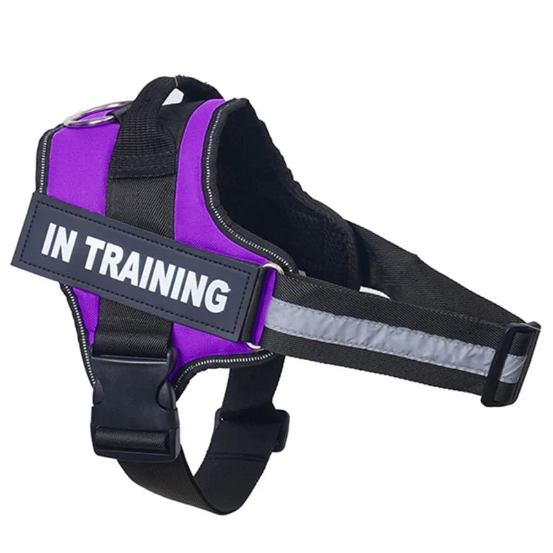 Personalized Reflective No-Pull Harness Ask ChatGPT