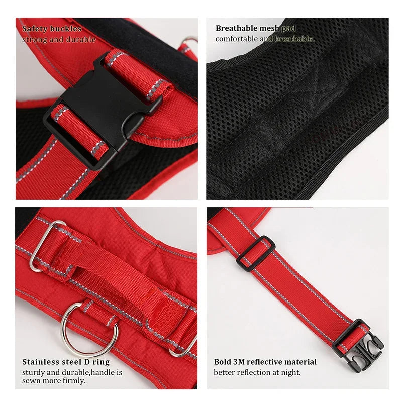 Personalized Reflective No-Pull Harness Ask ChatGPT