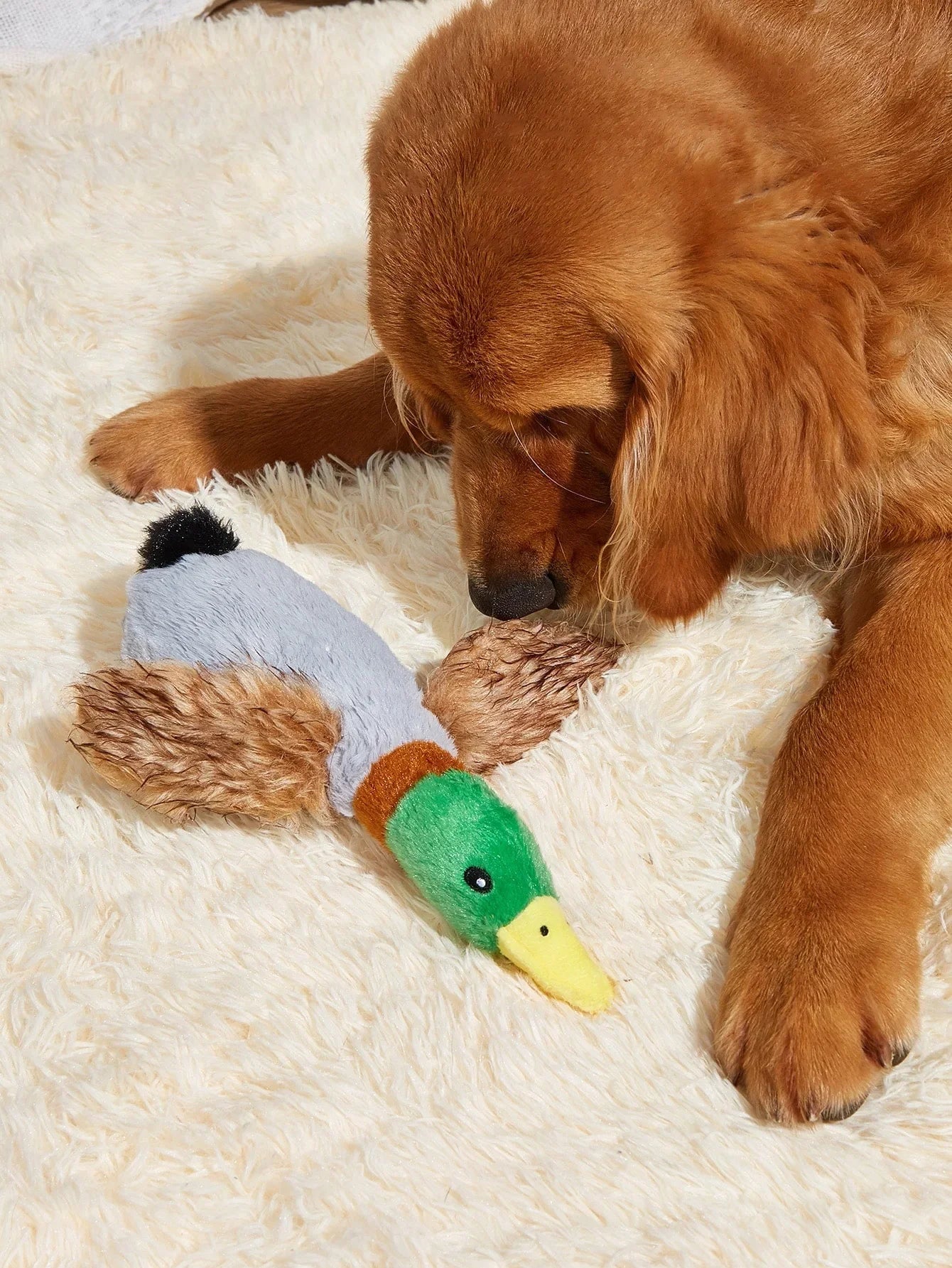 Wild Duck Plush Dog Toy