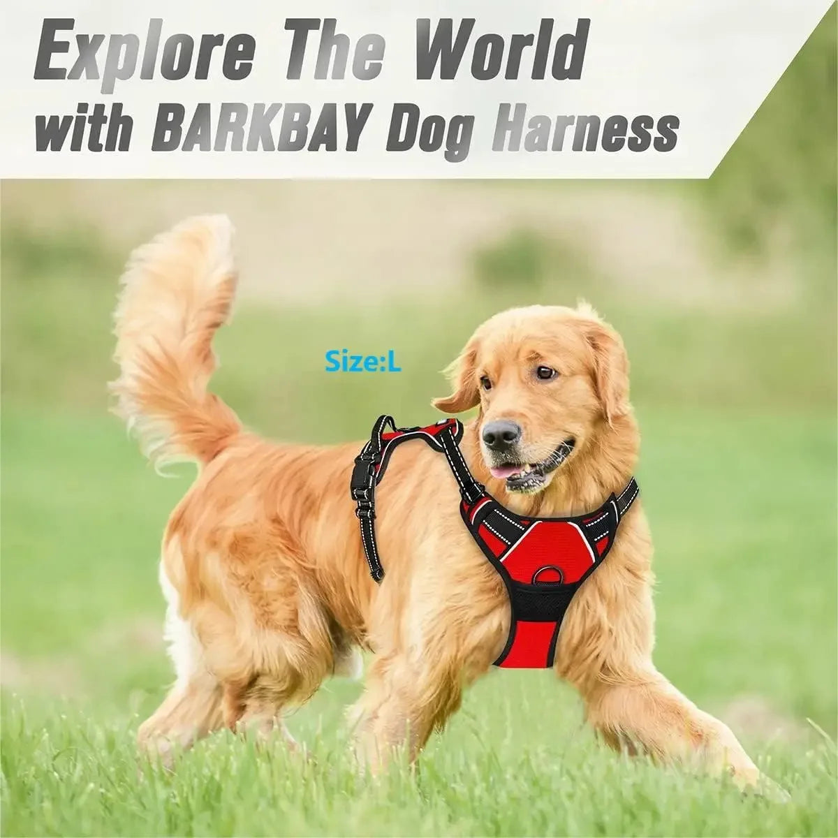 Leather Dog Harness Collar Set
