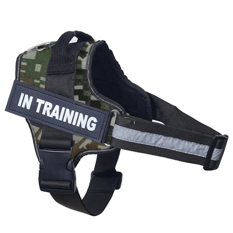 Personalized Reflective No-Pull Harness Ask ChatGPT