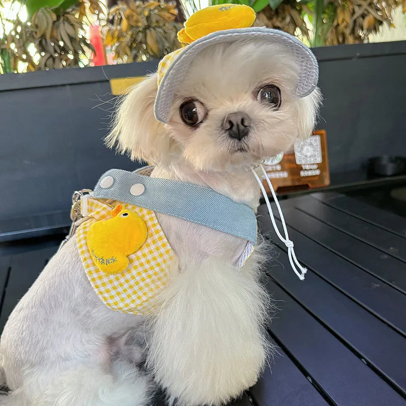 Puppy Pet Harness Leash Set