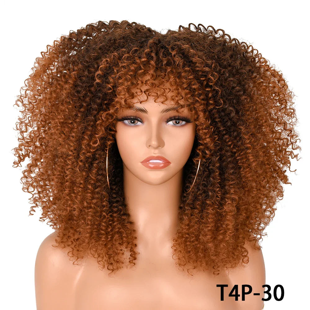 Chocolate Brown Curly Lace Wig