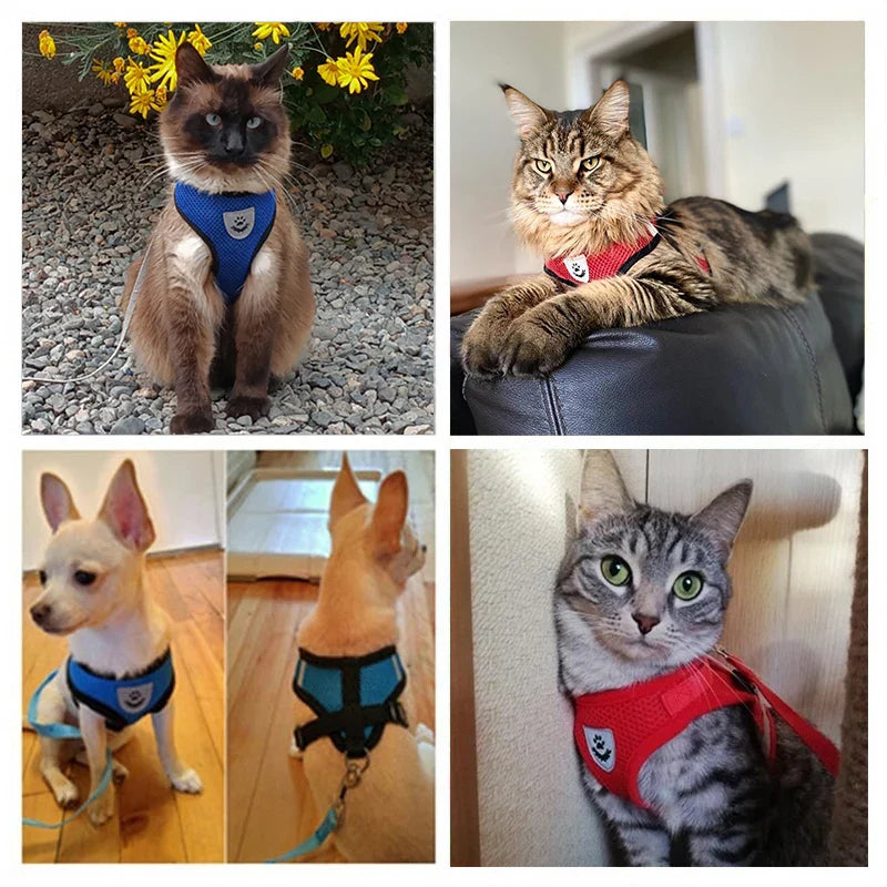 Adjustable Cat Dog Harness Set
