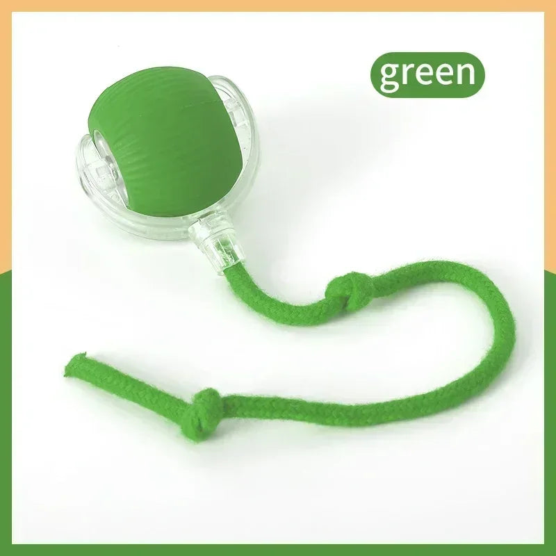 Smart Rolling Ball Cat Toy
