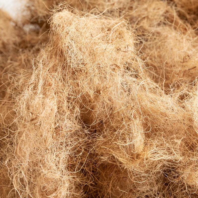 Large Artificial Palm Tree