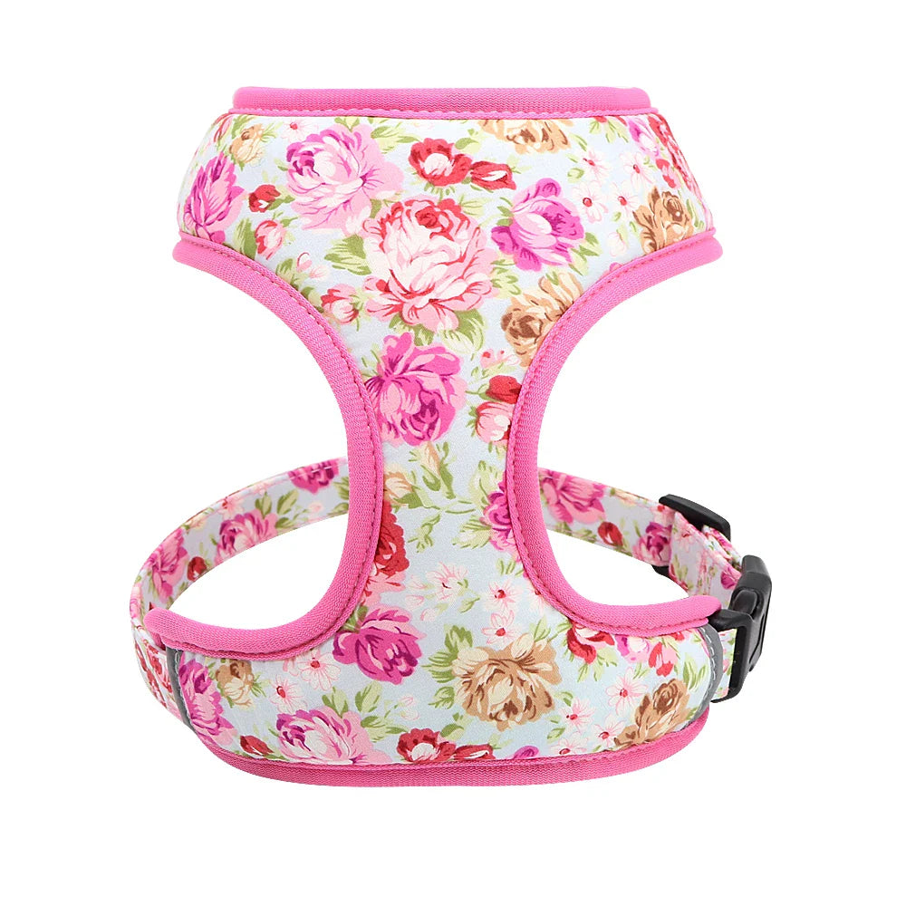 Cute Printed Pet Harness Set