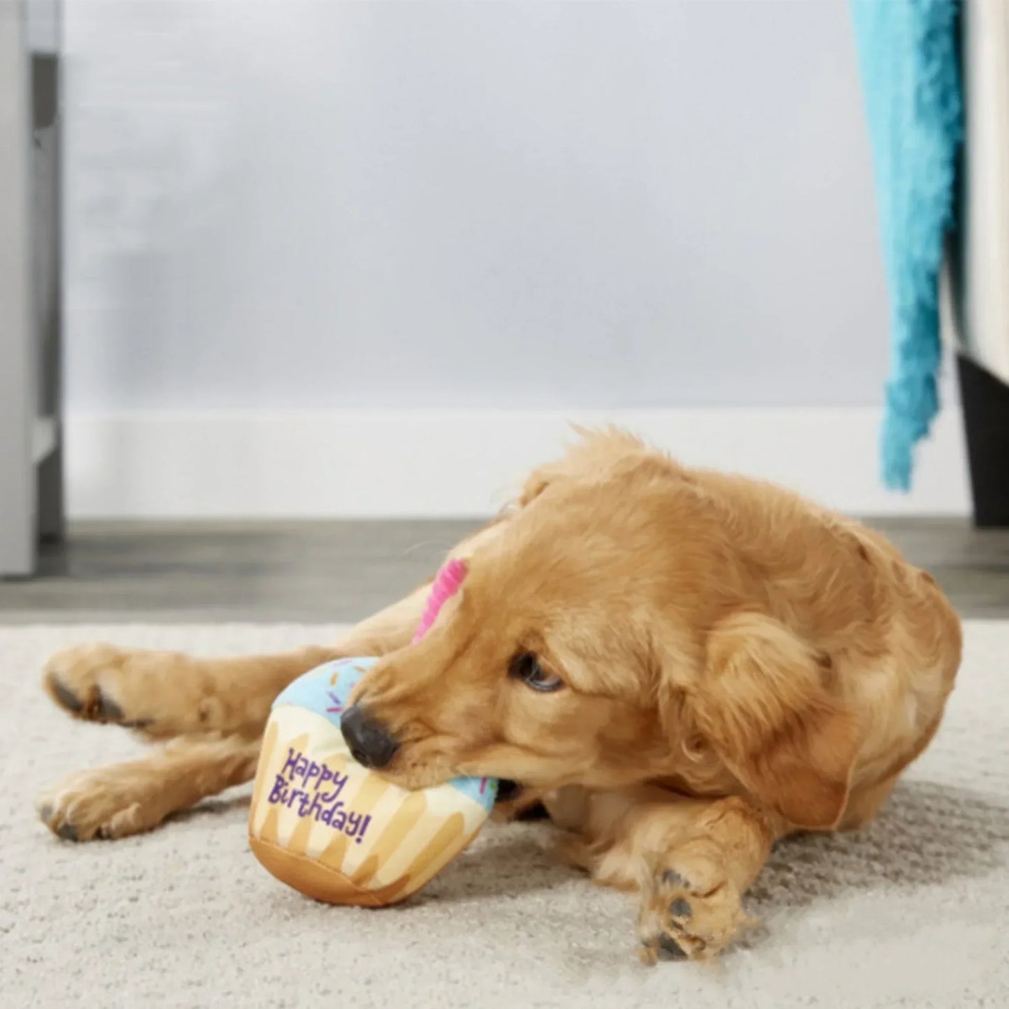 Plush Dog Birthday Cake Toy