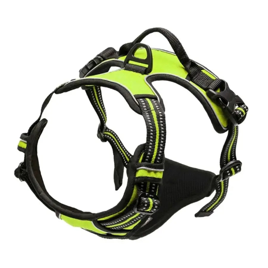 Leather Dog Harness Collar Set