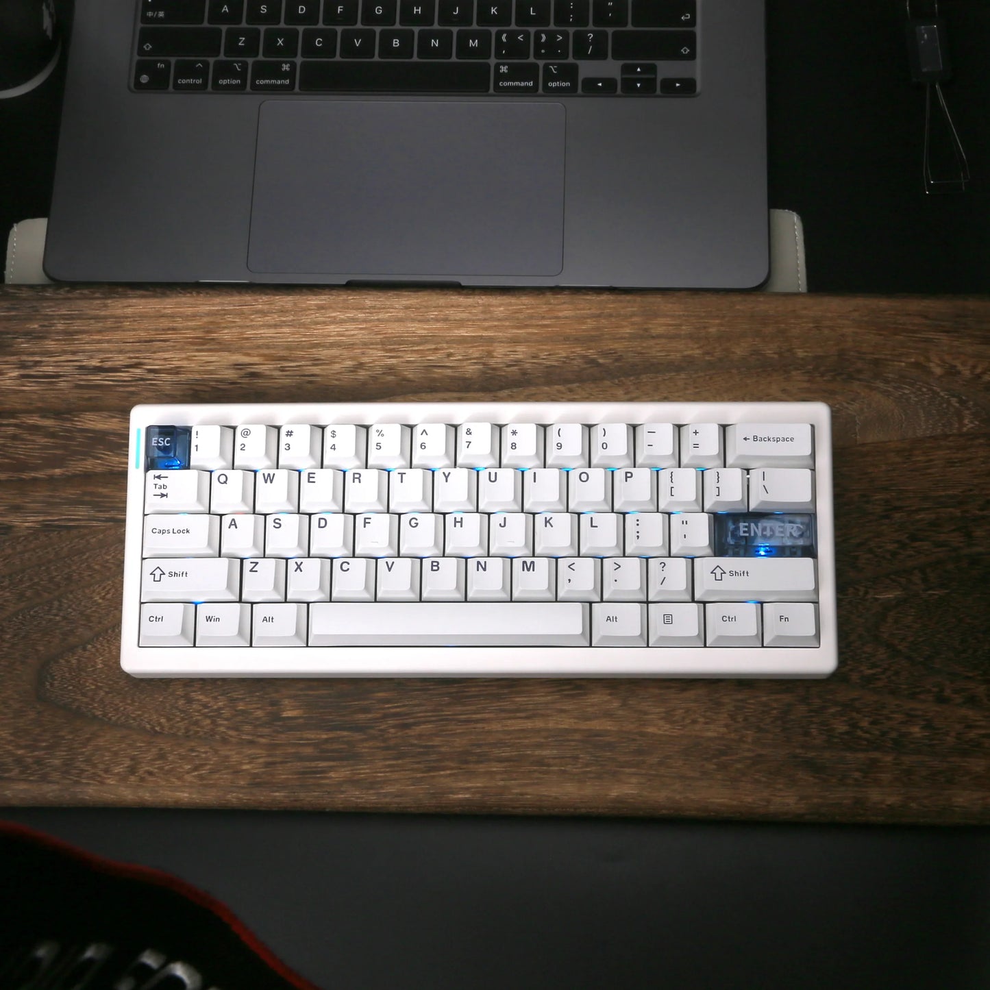 QK61 RGB Mechanical Keyboard