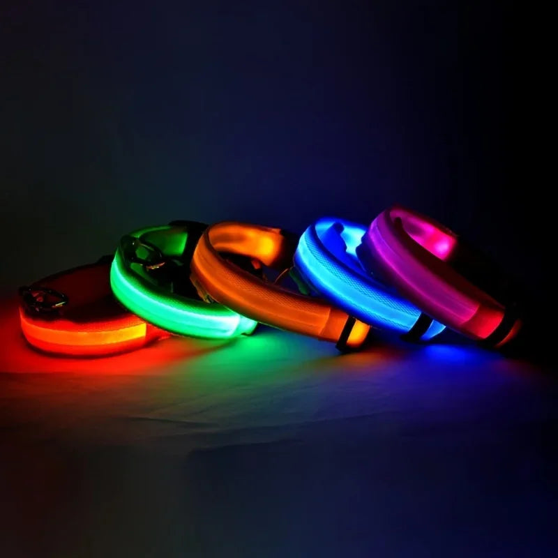 LED Glow Nylon Dog Leash
