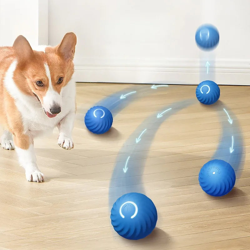 Smart Moving Dog Toy Ball