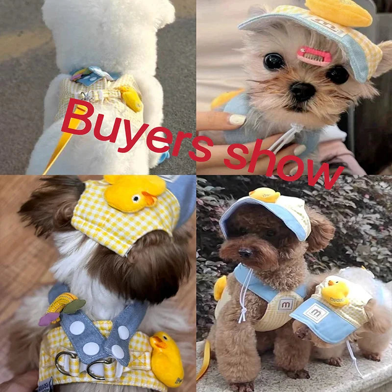 Puppy Pet Harness Leash Set