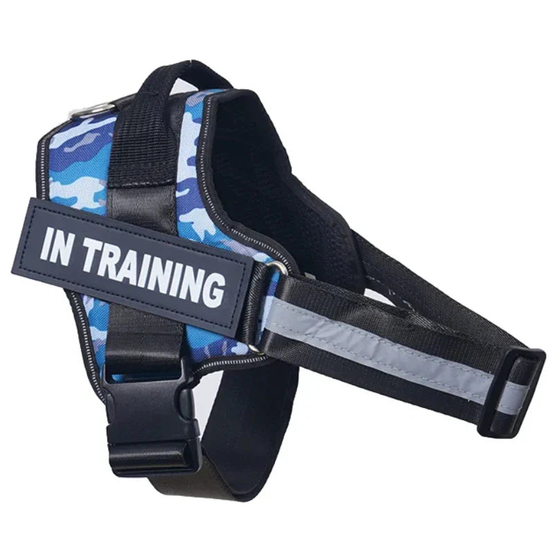 Personalized Reflective No-Pull Harness Ask ChatGPT