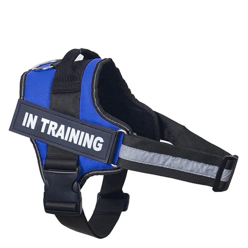 Personalized Reflective No-Pull Harness Ask ChatGPT