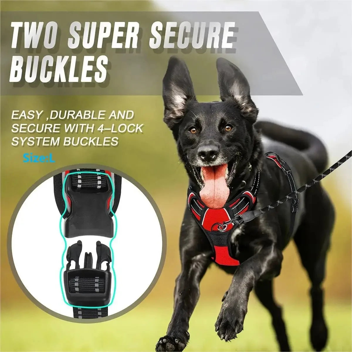 Leather Dog Harness Collar Set