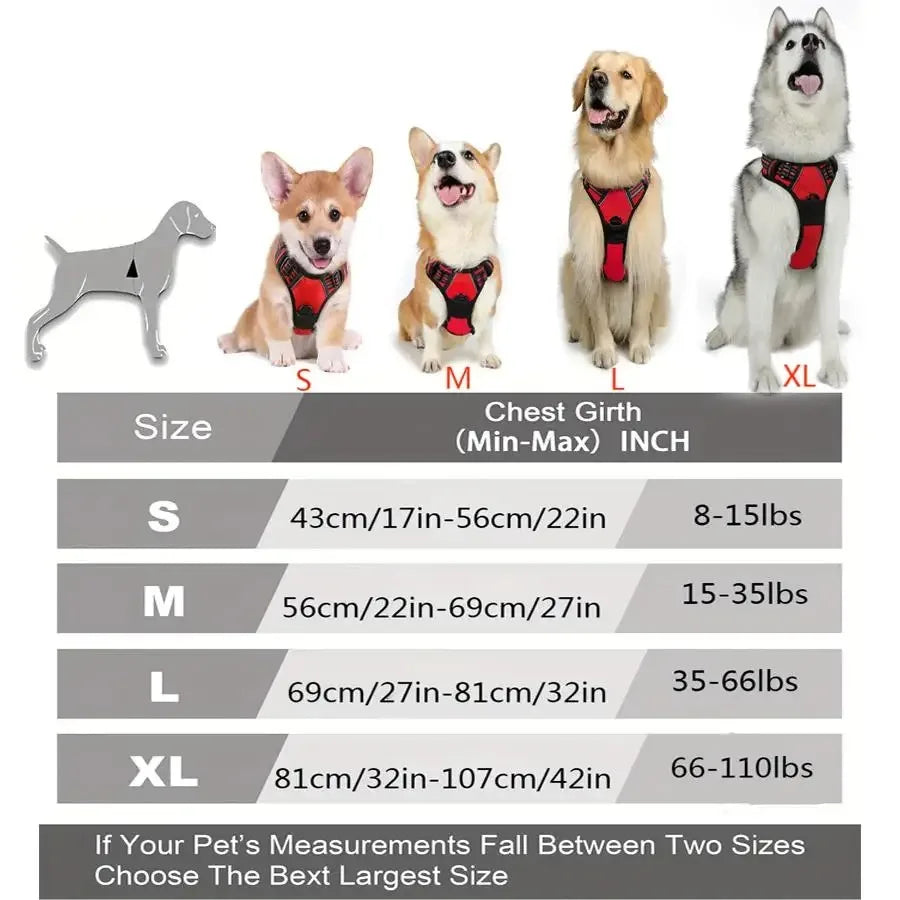 Leather Dog Harness Collar Set