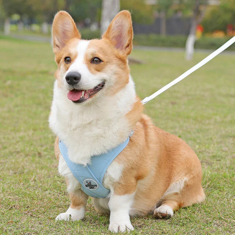 Reflective Pet Harness Rope Set