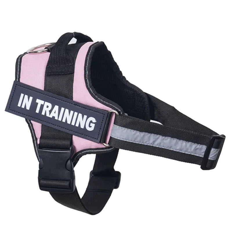 Personalized Reflective No-Pull Harness Ask ChatGPT