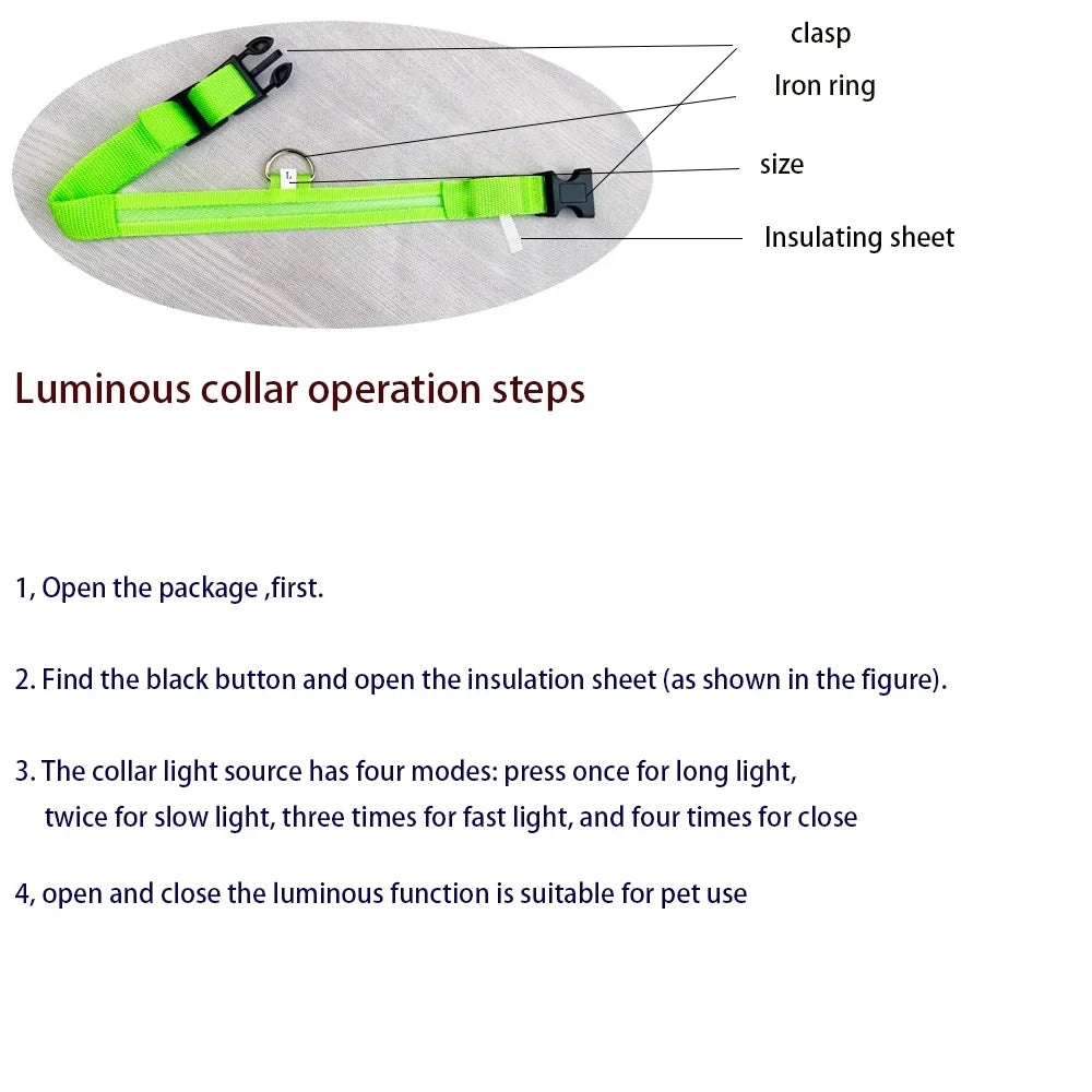 LED Glow Nylon Dog Leash