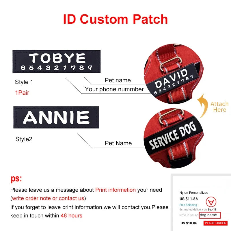 Personalized Reflective No-Pull Harness Ask ChatGPT
