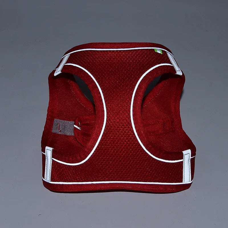 CDDMPET Adjustable Dog Harness Leash Set