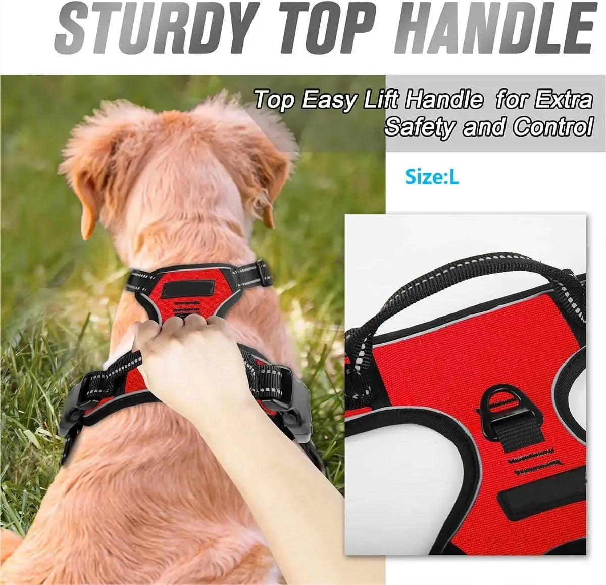 Leather Dog Harness Collar Set