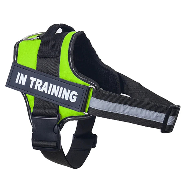 Personalized Reflective No-Pull Harness Ask ChatGPT