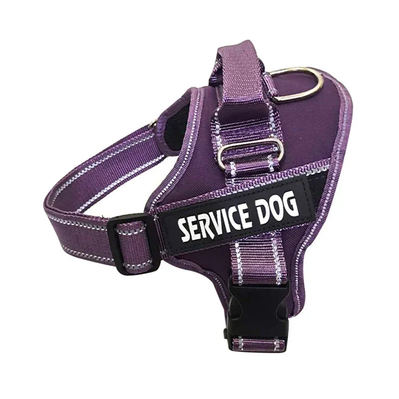 Personalized Reflective No-Pull Harness Ask ChatGPT