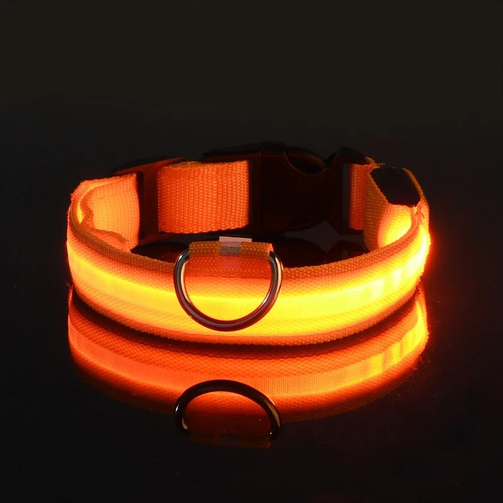 LED Glow Nylon Dog Leash
