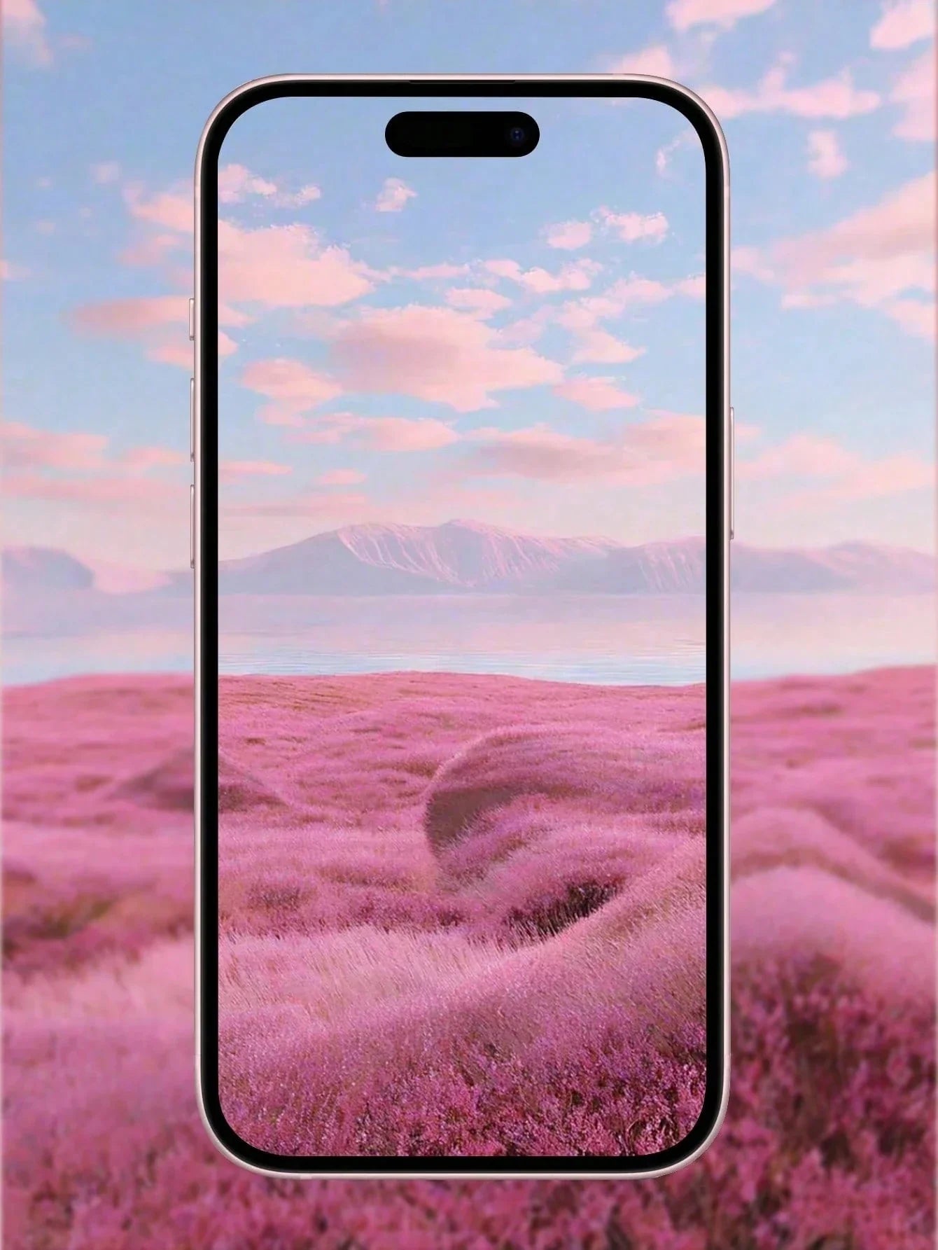 3-Pack iPhone Screen Protector