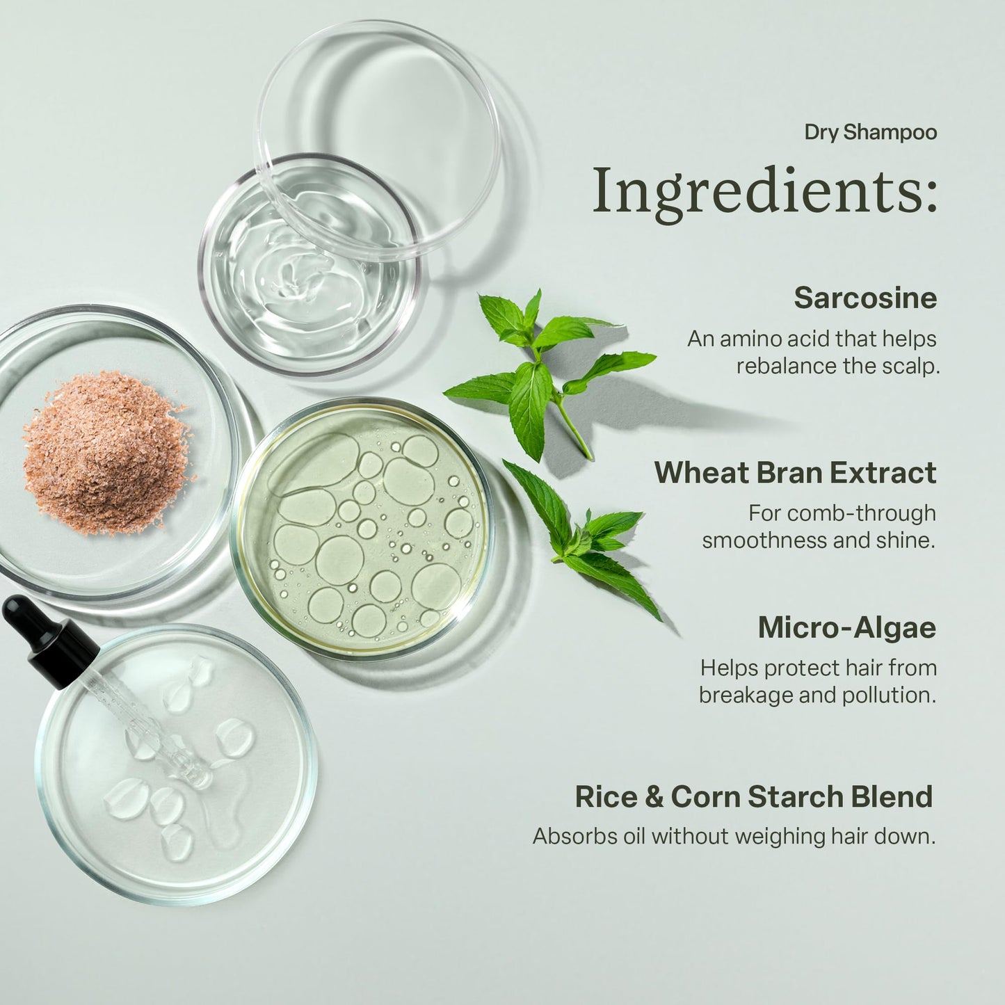 divi Dry Shampoo, 1.7 oz, Revives Hair Between Washes