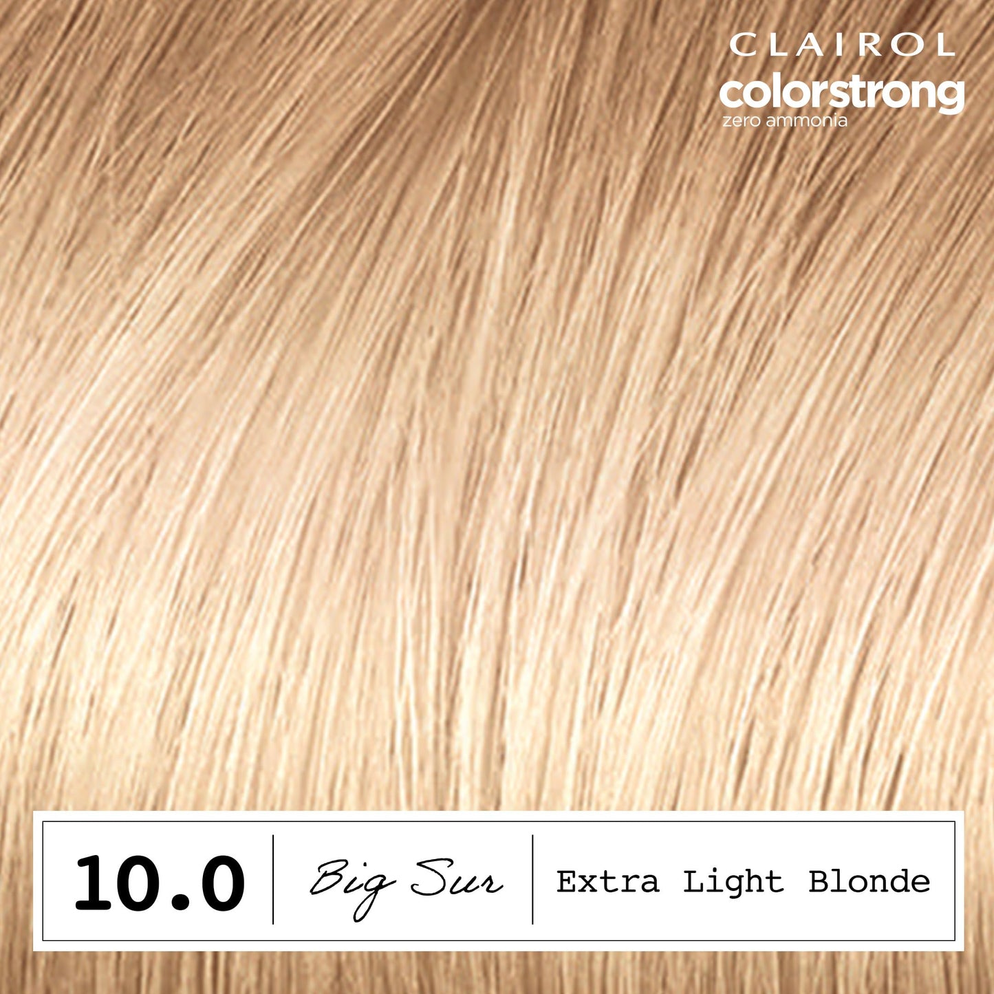 Clairol ColorStrong Permanent Zero Ammonia Hair Dye, 10.0 Extra Light Blonde - Big Sur Hair Color, Pack of 1